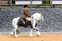 Class 102 - HOYS NCT Pony