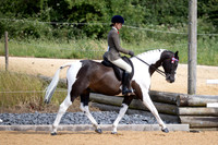 Class 105 - HOYS Non Native Horse