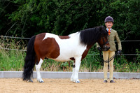 Class 11 - Junior Handler