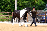 Class 12-13 - Flying Solo Classes
