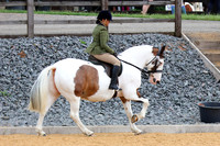 Class 15 - Veteran Ridden