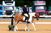 Class 2-3 - Novice Ridden