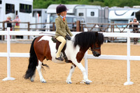 Class 8 Lead Rein & First Ridden