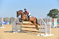 CCR Equestrian Unafilliated Showjumping 11.07.2026