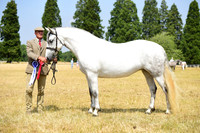 10C Mare & Foal Championships