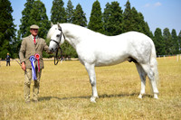 11-12 Stallion Classes & Champs