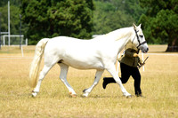 9-10 Brood Mares & Foals