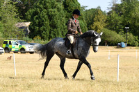 33 NPS Picton Novice Ridden