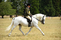 36 Ridden Pony NE 143cm