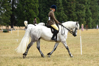 37 NPS Intermediate Ridden