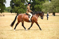 38C NPS Championship