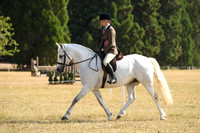 40-41 Very Novice Classes & Champs