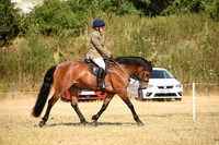42-43 Sports Comp Dressage Pony