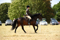 45 Veteran Ridden