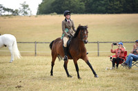 46 RC PC Horse or Pony