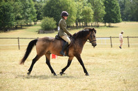 51-52 Amateur & Veteran Rider