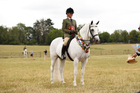 65C Ridden Champs & Ridden SUPREME