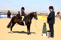 Championships Classes 1-14
