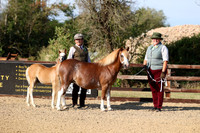 Class 1 Equifest M&M In Hand