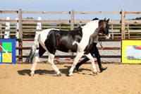 Class 12 Equifest In Hand Coloured