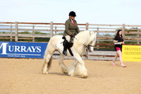 Class 14 Equifest Ridden Coloured