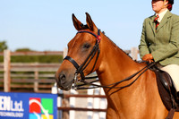 Class 8 Equifest Riding Horse