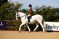Class 9 Equifest Ridden Cob