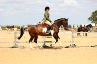 Class 16 TSR Ridden Coloured