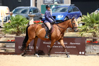 Class 19 TSR Riding Horse