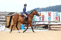 Class 29 Handsome Gelding