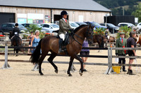 Class 30 Novice Open