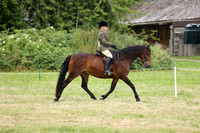 41 Veteran Rider
