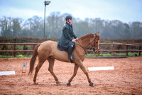 Dressage