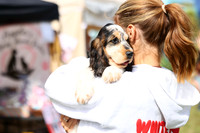 Ravens Rescue Dog Show 06.09.2026