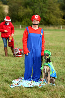 20 Fancy Dress