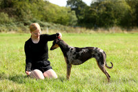 6 Best Large Breed
