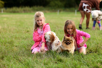 7 Best Junior Handler