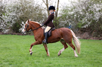 3. RIDDEN CLASSES