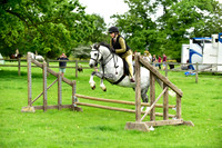 Ring 3 (19) Working Hunter 55cm