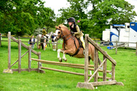 Ring 3 (20) Working Hunter 60cm