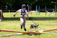 Novice Show Jumping Horse & Hound