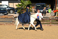 Championship 7 Concours