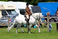 Ring 2 (16) Jnr Ridden M&M