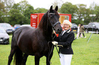 Ring 2 (12) Foreign Breeds