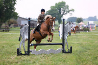 Ring 1 PC Jumping 60-65cm