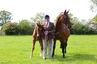 Ring 5 (C) Veteran Championship