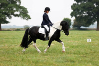 Ring 6 Dressage 1100-1230