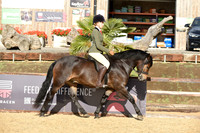 Class 24 Ridden Novice