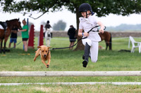 Ring 2 Horse & Hound
