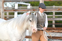 Class 8 In Hand Cob